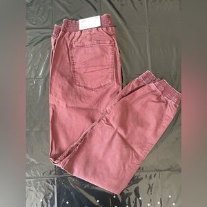 NWT American Eagle Jegging Jogger 18 (34W) Regular Women’s